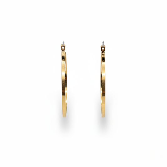 リュクスフープ ピアス